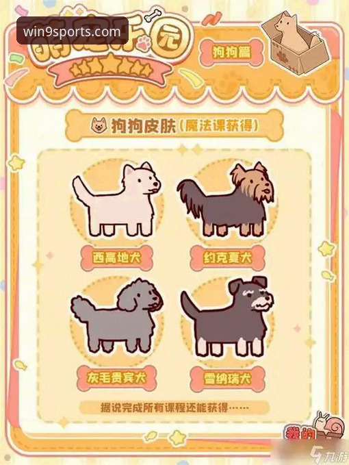3步解锁九游体育充值教程：从注册到畅玩的完整路径